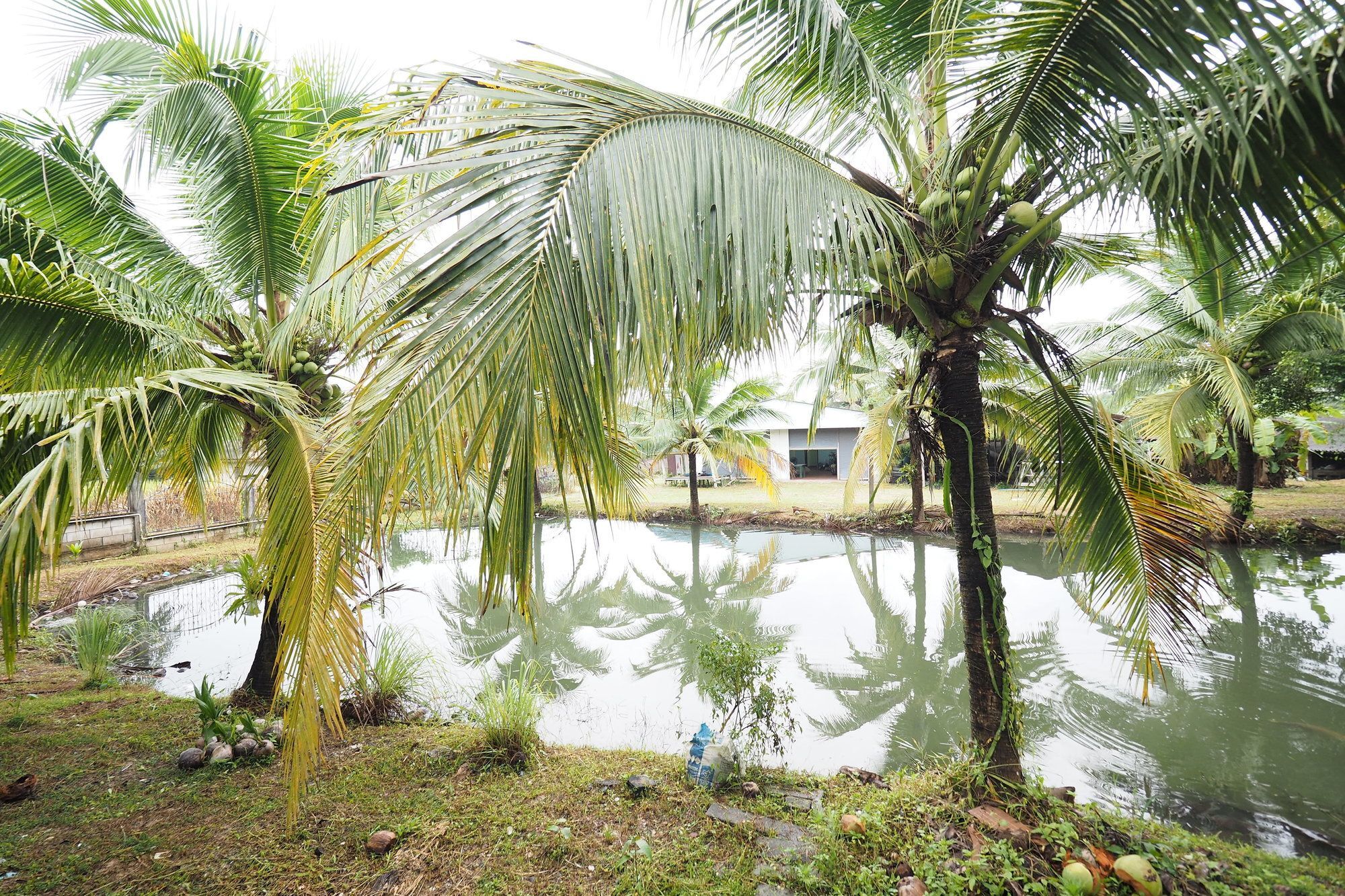 Oyo 75515 Sairung Farmstay Krabi town Εξωτερικό φωτογραφία