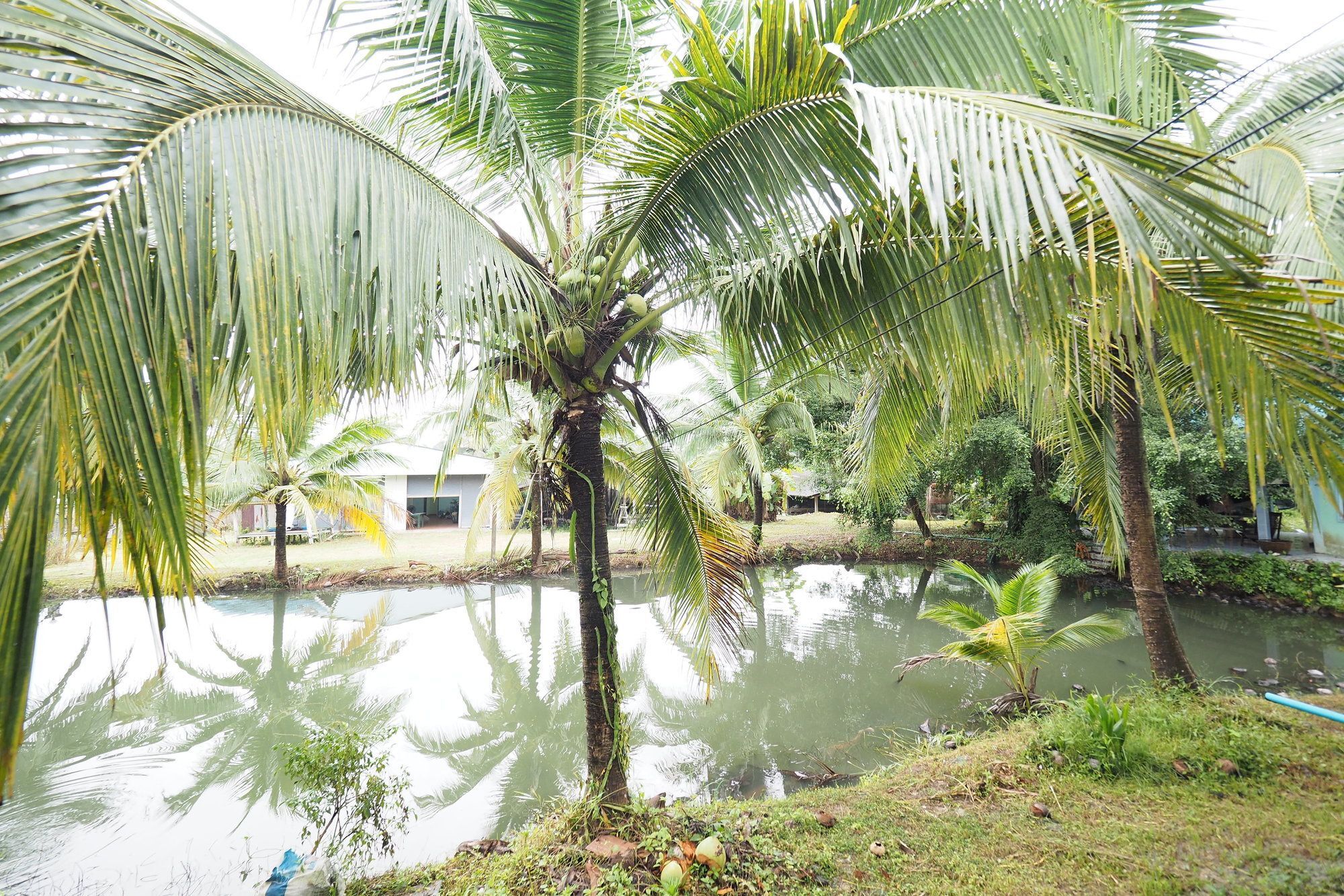 Oyo 75515 Sairung Farmstay Krabi town Εξωτερικό φωτογραφία